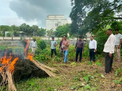 ফরিদপুর